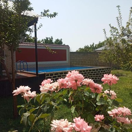Villa Vilish Габала Екстер'єр фото