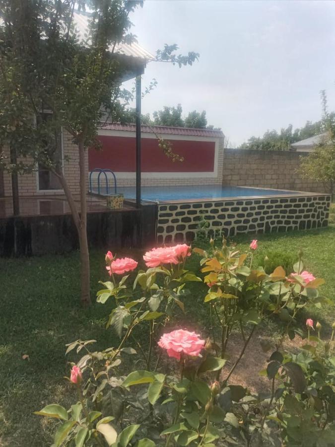 Villa Vilish Габала Екстер'єр фото