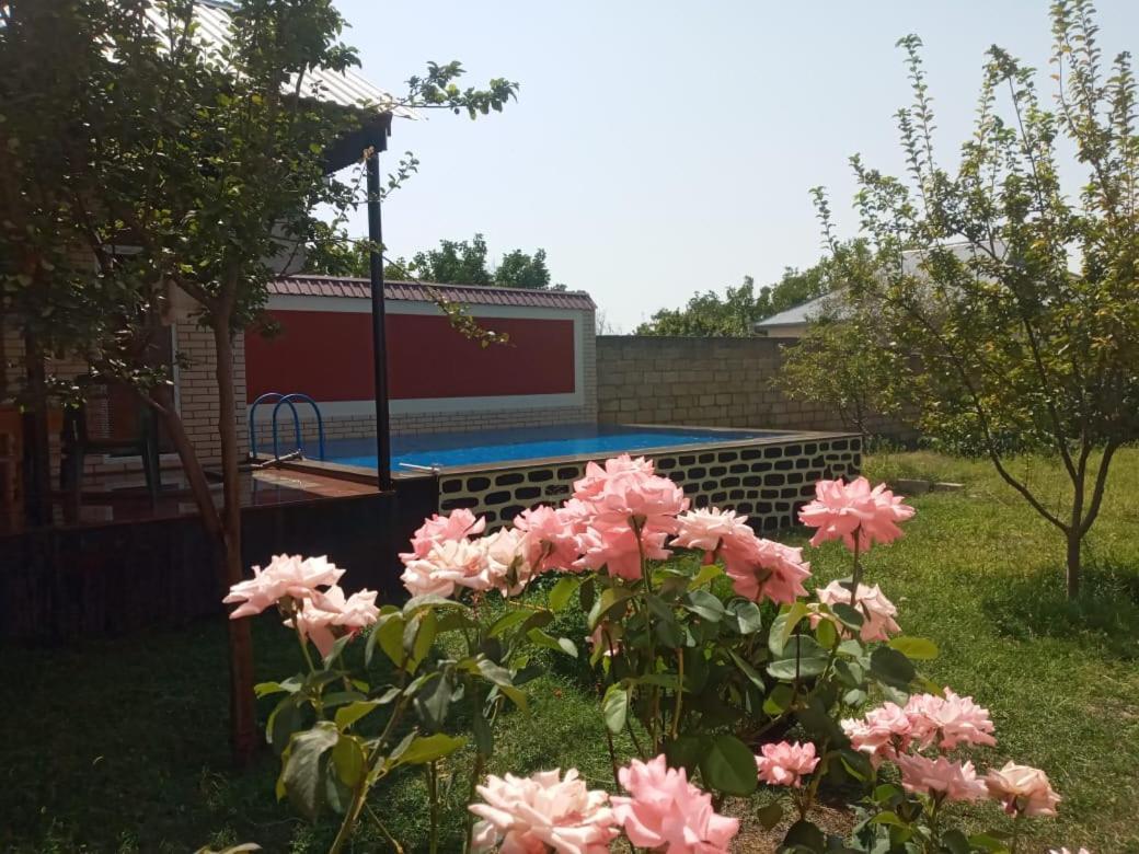 Villa Vilish Габала Екстер'єр фото